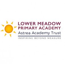 Lower Meadow Primary