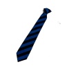 Holgate Meadows School - Holgate Senior Tie, Heritage Park and Holgate Meadows