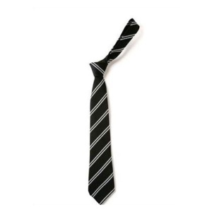 Yewlands Secondary School - Yewlands Secondary Y11 Tie, Daywear, Yewlands Secondary