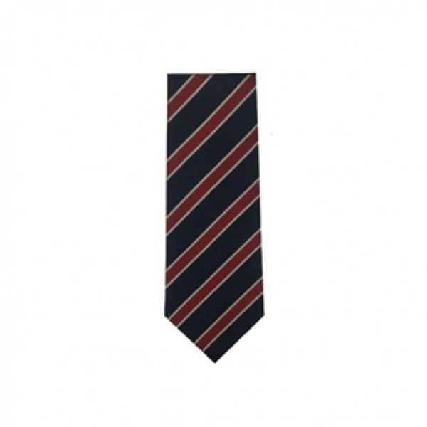 Astrea Woodfield - Y7-Y10 Tie, Daywear, Astrea Woodfields
