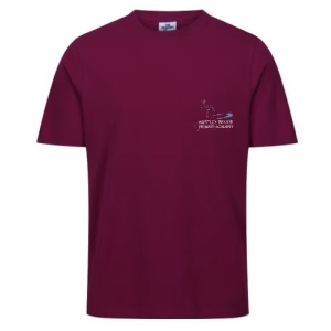 Hartley Brook Academy - PE T-Shirt, Free delivery to school, Hartley Brook Primary Academy