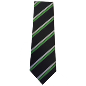 Bradfield Secondary School - Tie, Daywear, Bradfield Secondary