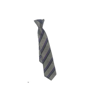 St Swithuns C of E Primary - Clip on Tie, St Swithuns C of E Primary
