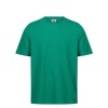 High Storrs School - House T-Shirt, High Storrs School, Free delivery to school