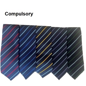 The Bolsover School - House Tie, Free delivery to school, The Bolsover School