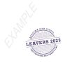 Greystones Primary School - Leaver T-Shirt -Not returnable, Greystones Primary