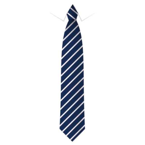 Immaculate Conception Primary School - Tie, Free delivery to school, Immaculate Conception Primary