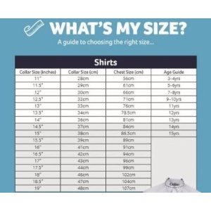 OBSOLETE PRODUCT - SALE Short Sleeve Boys Shirts, Free delivery to school, Immaculate Conception Primary, St John Fisher Primary, St Wilfrids Primary