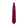 Astrea Academy Sheffield - Astrea Burgundy Logo Tie Y11, Astrea Sheffield, Secondary Phase