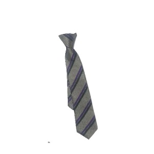 Pathways E-ACT - 14'' Clip on School Tie, Pathways Academy