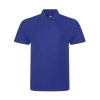 Hollinsend Nursery - Staff Polo Shirt - not returnable, Hollinsend Nursery, Free delivery to school
