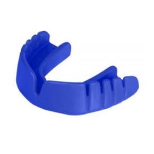 Absolute Essentials - Gum Shield, Sports Accessories, Sports and Accessories, Free delivery to school, Essentials, The Bolsover School