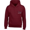 Hartley Brook Academy - PE hoody, Free delivery to school, Hartley Brook Primary Academy