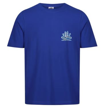 Manor Lodge Primary - PE T-Shirt -not returnable, Free delivery to school, Manor Lodge Primary