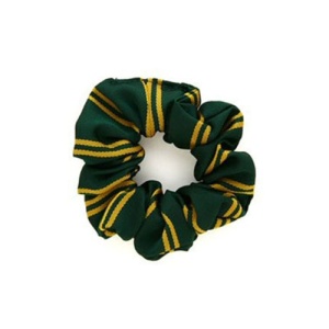 St Patricks Primary School - Scrunchie, Primary