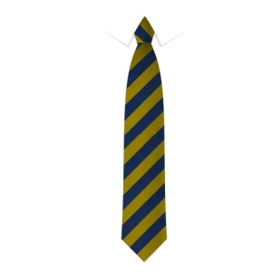 Christ the King Catholic Primary School - Tie - not returnable, Free delivery to school, Christ The King