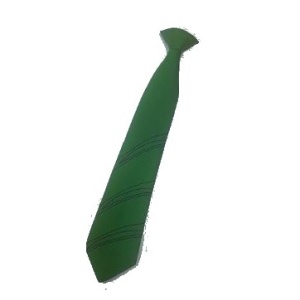 Oasis Academy Trust - Clip on Tie -not returnable, Junior, Senior