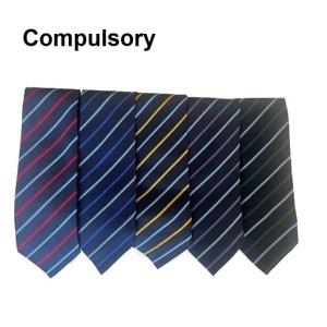 The Bolsover School - House Tie, Schoolwear, Free delivery to school, The Bolsover School