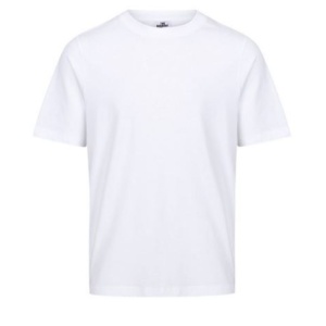 Lotus Academy - Plain T-Shirt, Free delivery to school, Schoolwear