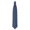 Immaculate Conception Primary School - Tie, Free delivery to school, Immaculate Conception Primary
