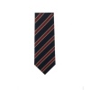 Astrea Academy Sheffield - Y8 Tie, Astrea Sheffield, Secondary Phase