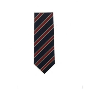 Astrea Academy Sheffield - Y8 Tie, Astrea Sheffield, Secondary Phase
