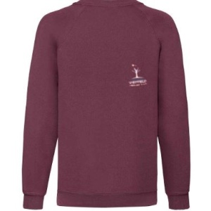 Astrea Academy Sheffield - Sweatshirt, Astrea Sheffield, Primary Phase