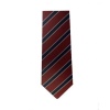 Astrea Academy Sheffield - Astrea Y7 Tie, Astrea Sheffield, Secondary Phase